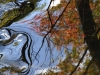 DSC0107_1_BeaverPond_Near_LGR_2009016